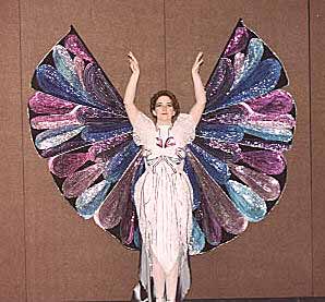 My Butterfly Costume